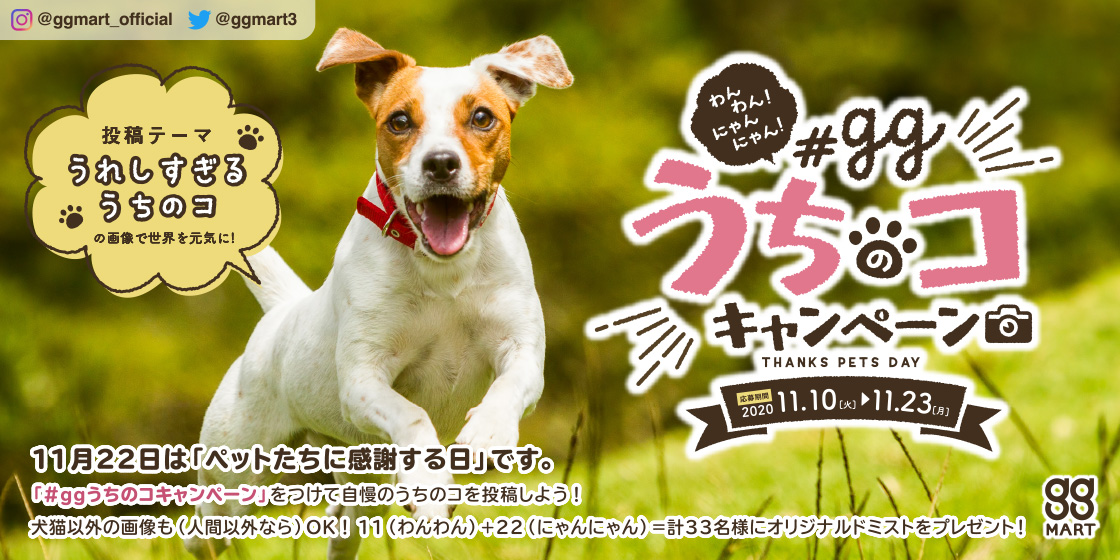 わんわん！にゃんにゃん！ggうちのコキャンペーン