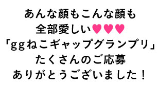 2月22日は猫の日(にゃんにゃんにゃん)