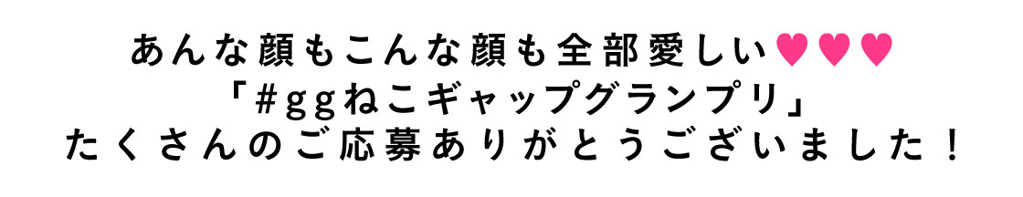 2月22日は猫の日(にゃんにゃんにゃん)!
