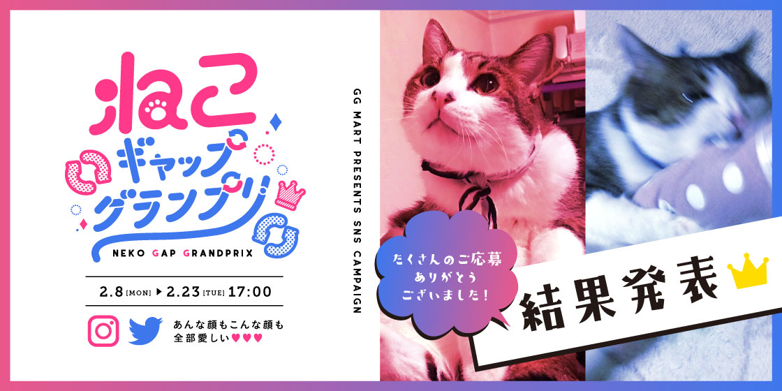 2月22日は猫の日（にゃんにゃんにゃん）！ggねこギャップグランプリ