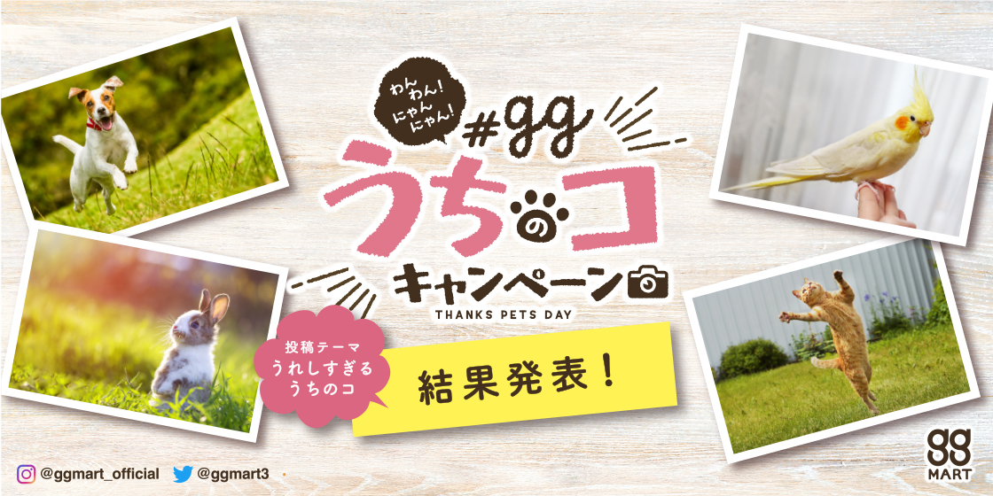 わんわん！にゃんにゃん！ggうちのコキャンペーン