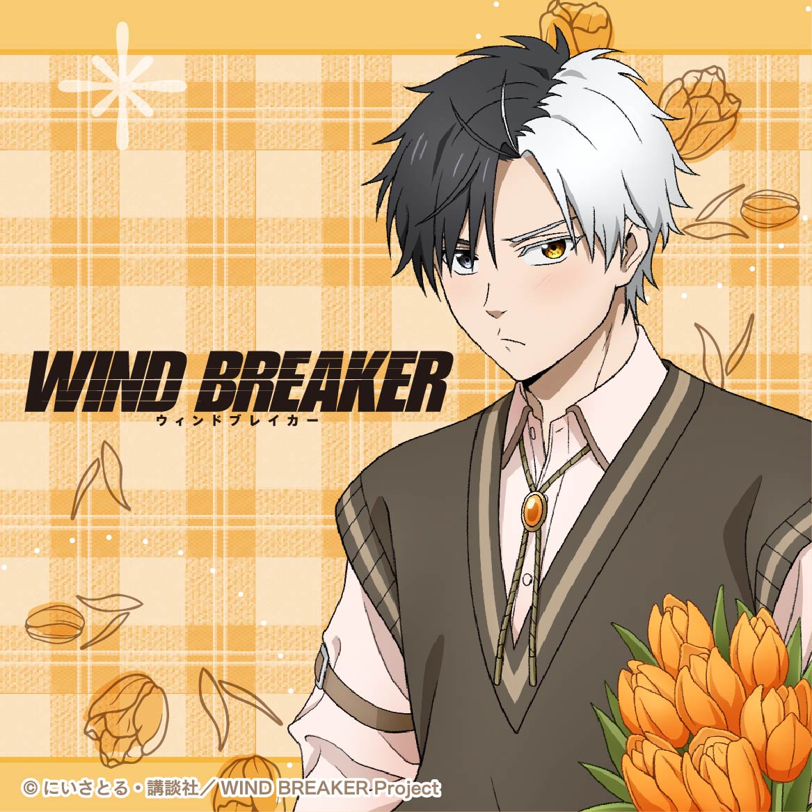 WIND BREAKER