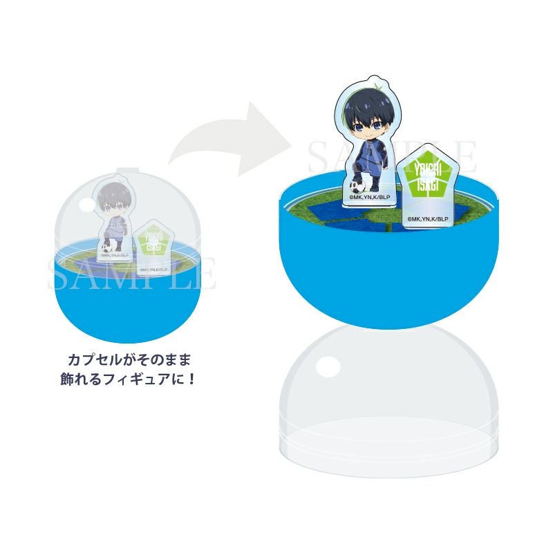 ブルーロック　カプセルスタンド 組み立て図