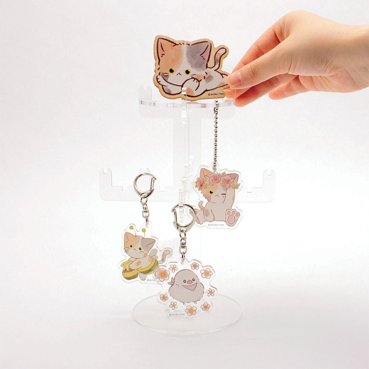 アクリルディスプレイ　ツリー　写真